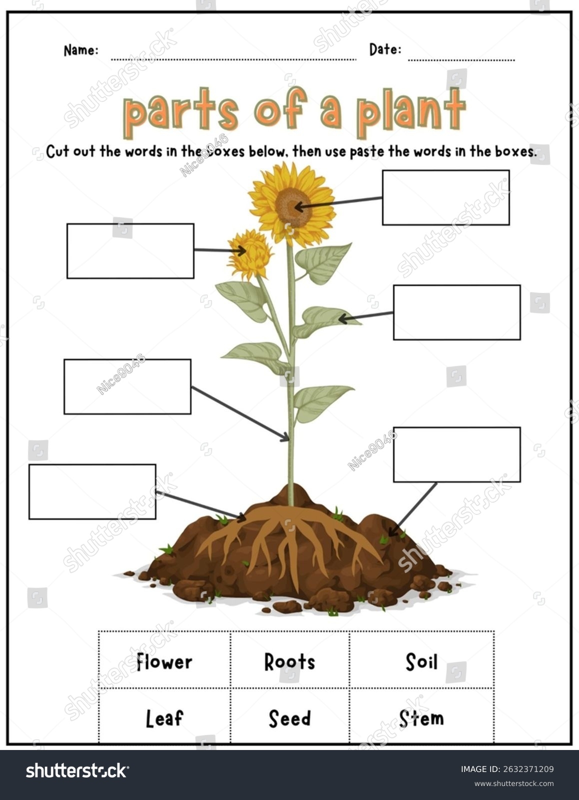 Parts Plant Worksheet Cut Paste Activitythis Worksheet Stock Illustration 2632371209 Shutterstock Parts Plant Worksheet Cut Paste Activitythis Worksheet Stock Illustration 2632371209 Shutterstock