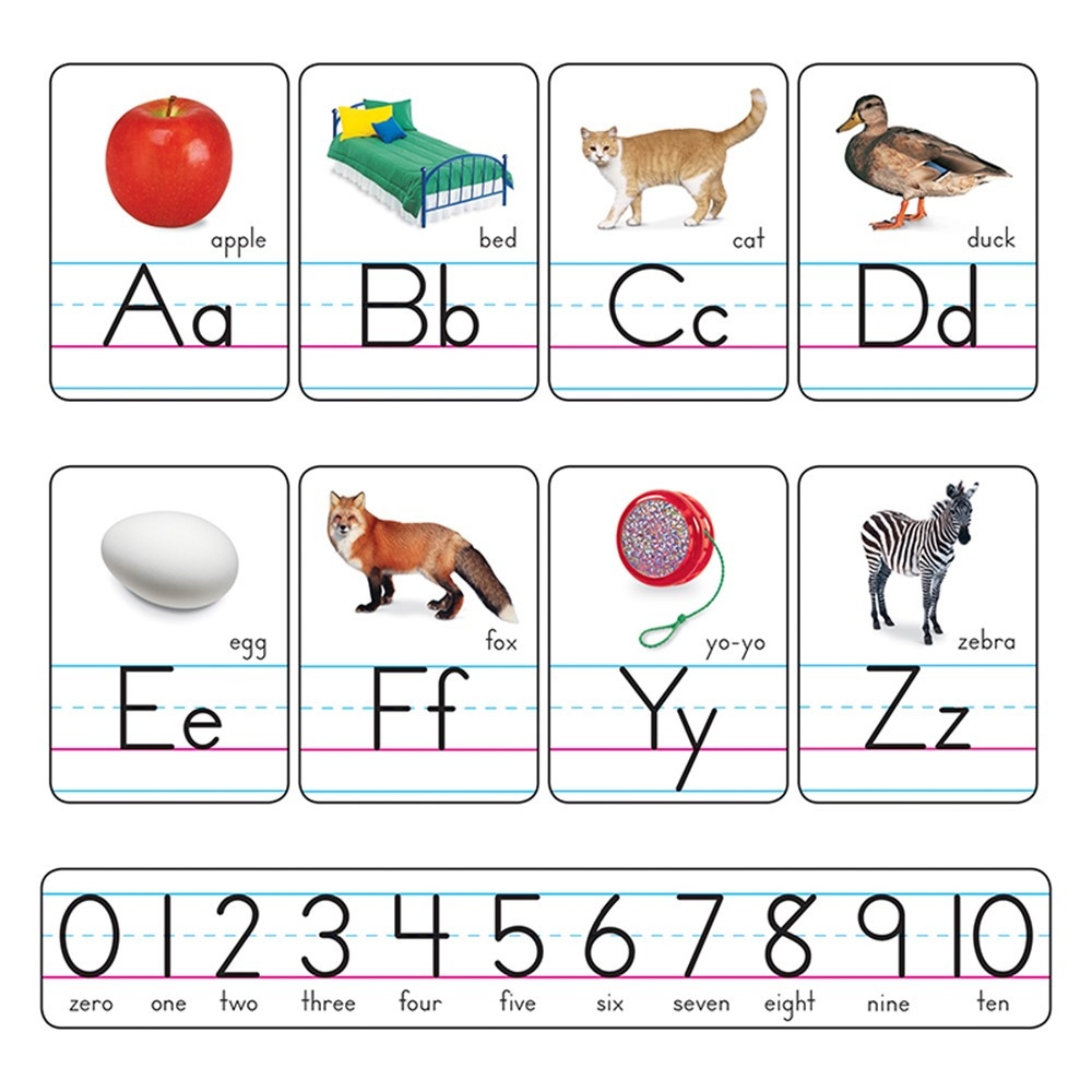 Photo Alphabet Cards Zaner Bloser Manuscript Bulletin Board Set T 721 Trend Enterprises Inc Alphabet Lines Photo Alphabet Cards Zaner Bloser Manuscript Bulletin Board Set T 721 Trend Enterprises Inc Alphabet Lines