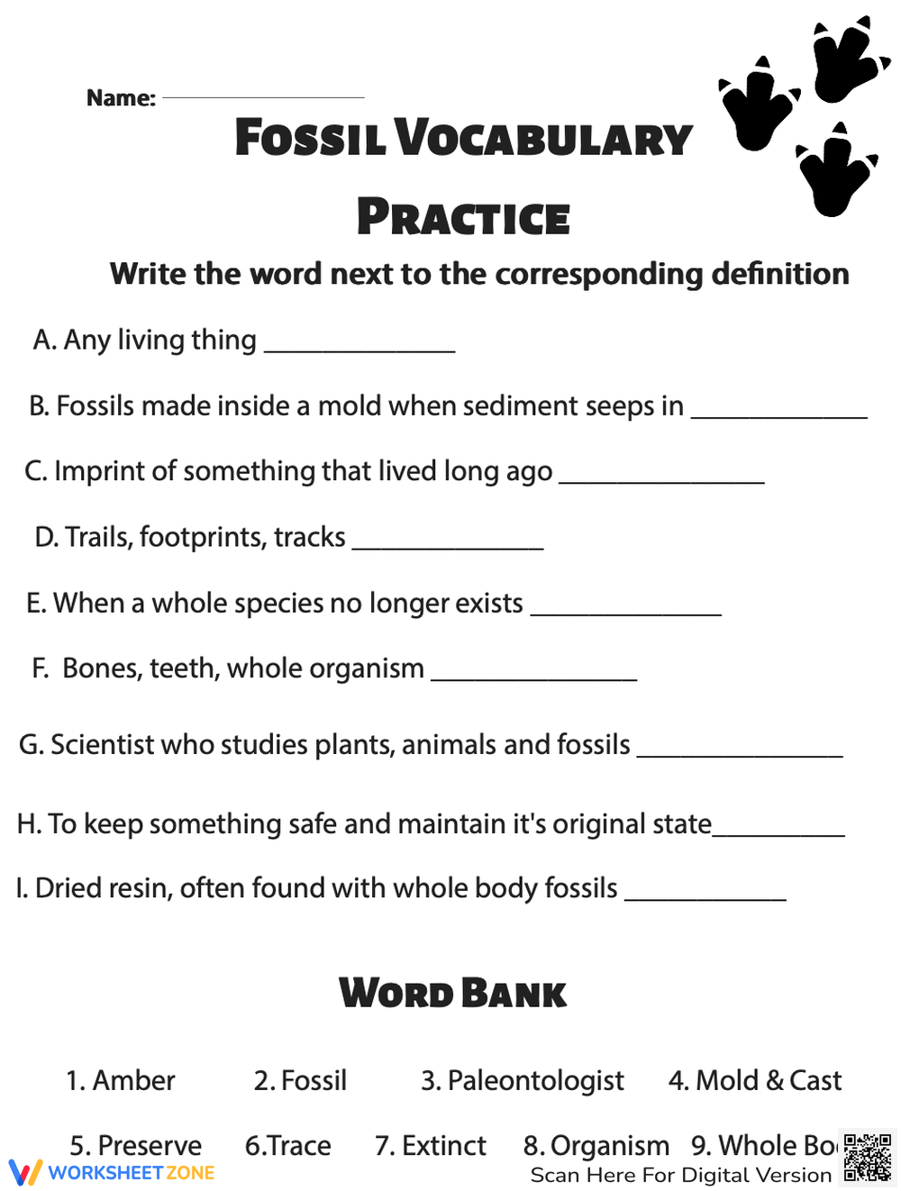 Printable Fossils Worksheets