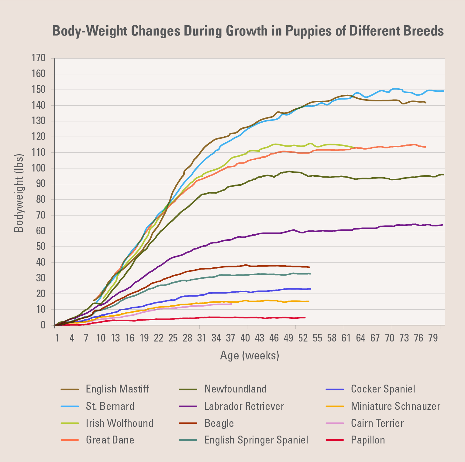 Puppy Nutrition A Guide For Healthy Growth Development Puppy Nutrition A Guide For Healthy Growth Development