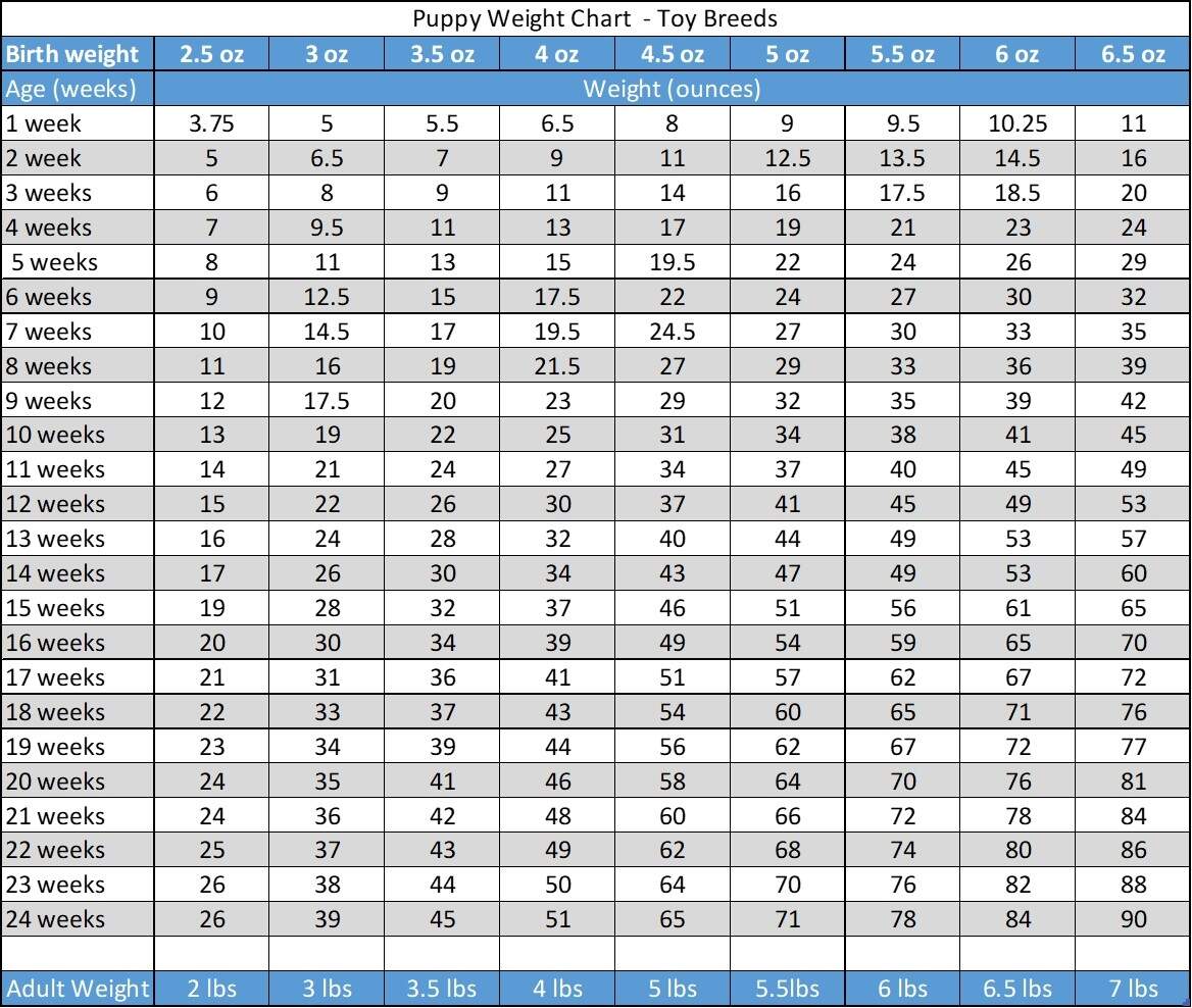Shop Toy Breed Weight Chart Clearance