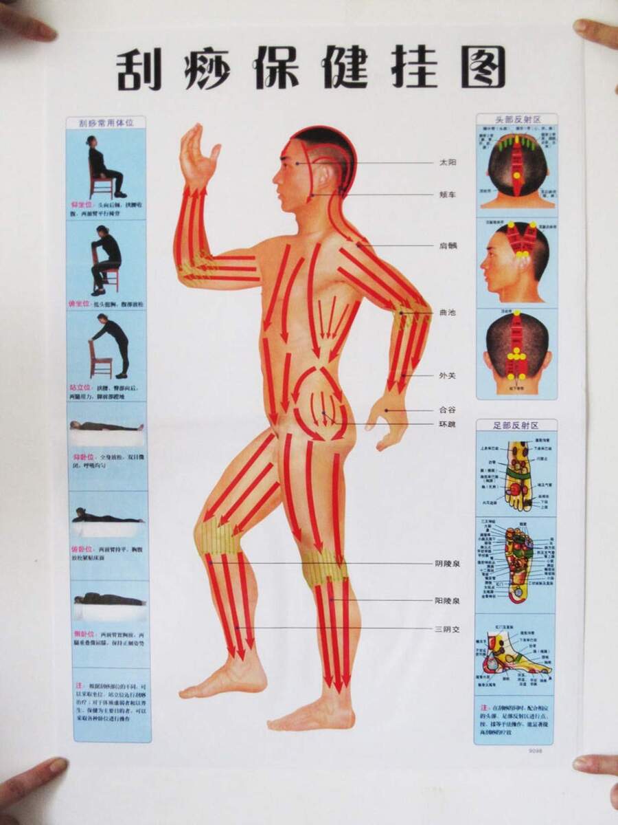 Shunyitong 3 Stlye Body Meridian Gua Sha Wall Chart Wall Art Picture Body Acupuncture For Home SPA Beauty Salon Amazon co uk Stationery Office Supplies