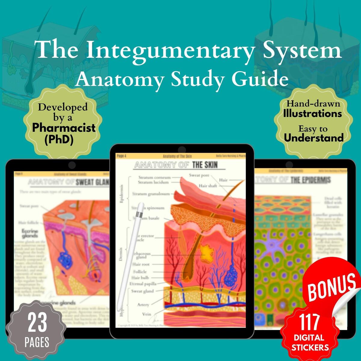 Skin Anatomy Hand Drawn Human Integumentary System Bundle BONUS FREE Stickers Aesthetic Dermatology Nurse Medical Spa Cosmetology PDF Etsy
