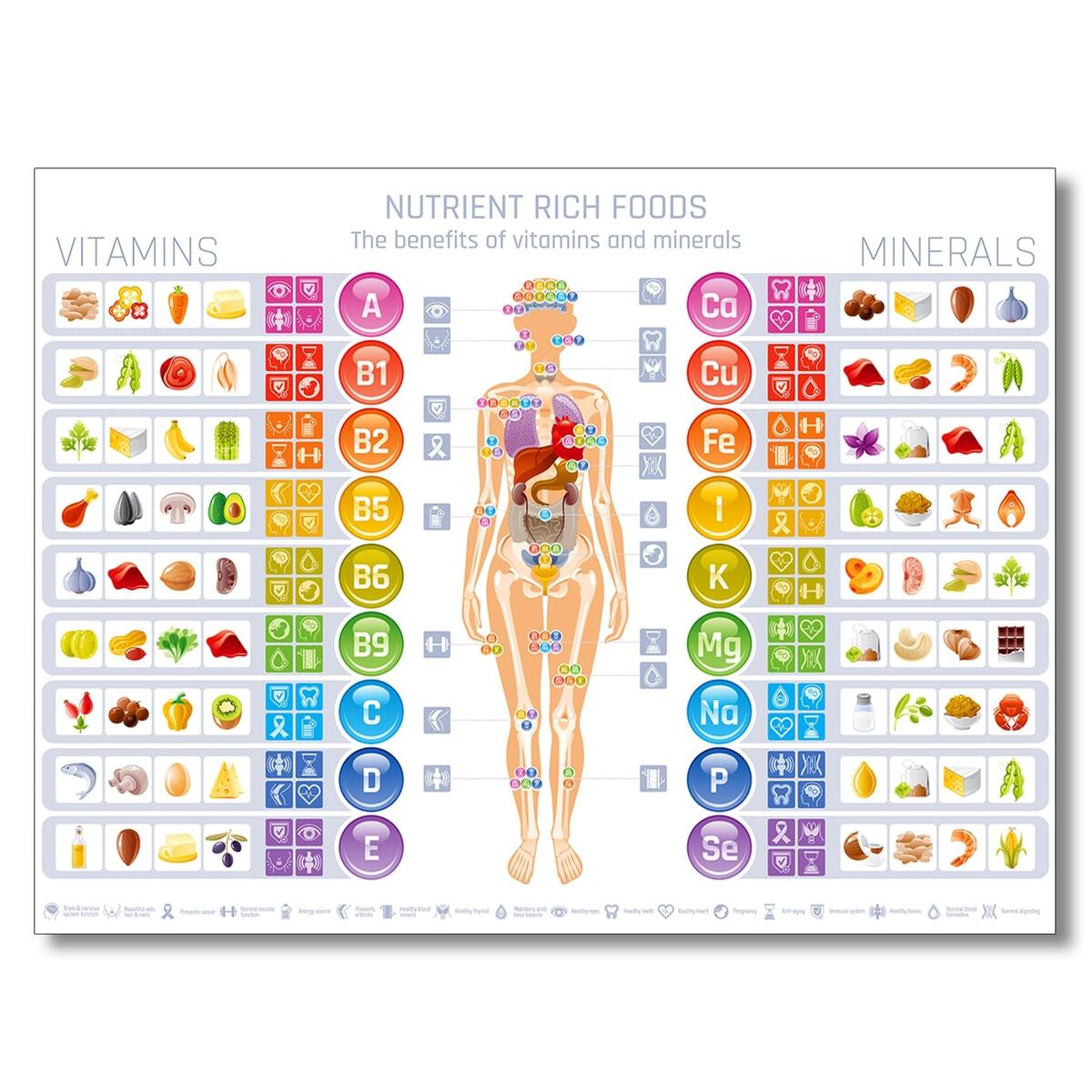 Healthy Eating Plate The Nutrition Source