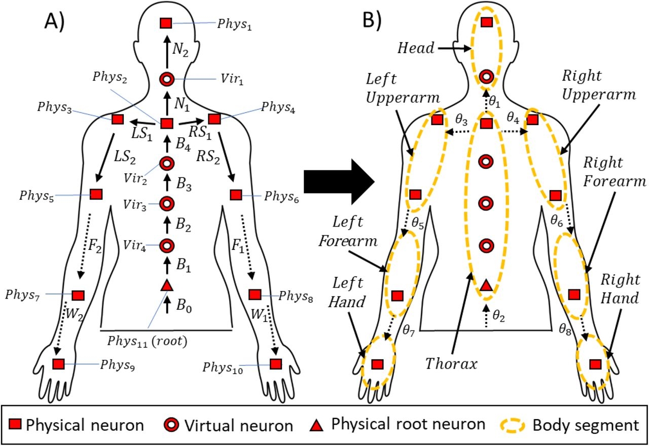 The Impact Of Patient Body Mass Index On Surgeon Posture During Simulated Laparoscopy MedRxiv The Impact Of Patient Body Mass Index On Surgeon Posture During Simulated Laparoscopy MedRxiv