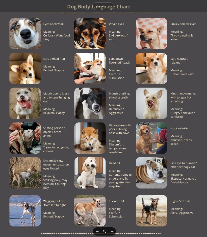 The Secret Language Of Dogs With Dog Body Language Chart The Secret Language Of Dogs With Dog Body Language Chart