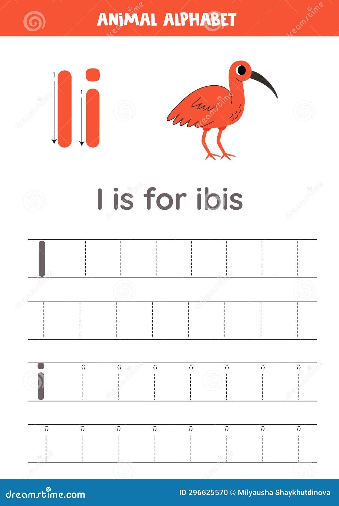 Tracing Alphabet Letters For Kids Animal Alphabet I Is For Ibis Stock Vector Illustration Of Wildlife Education 296625570