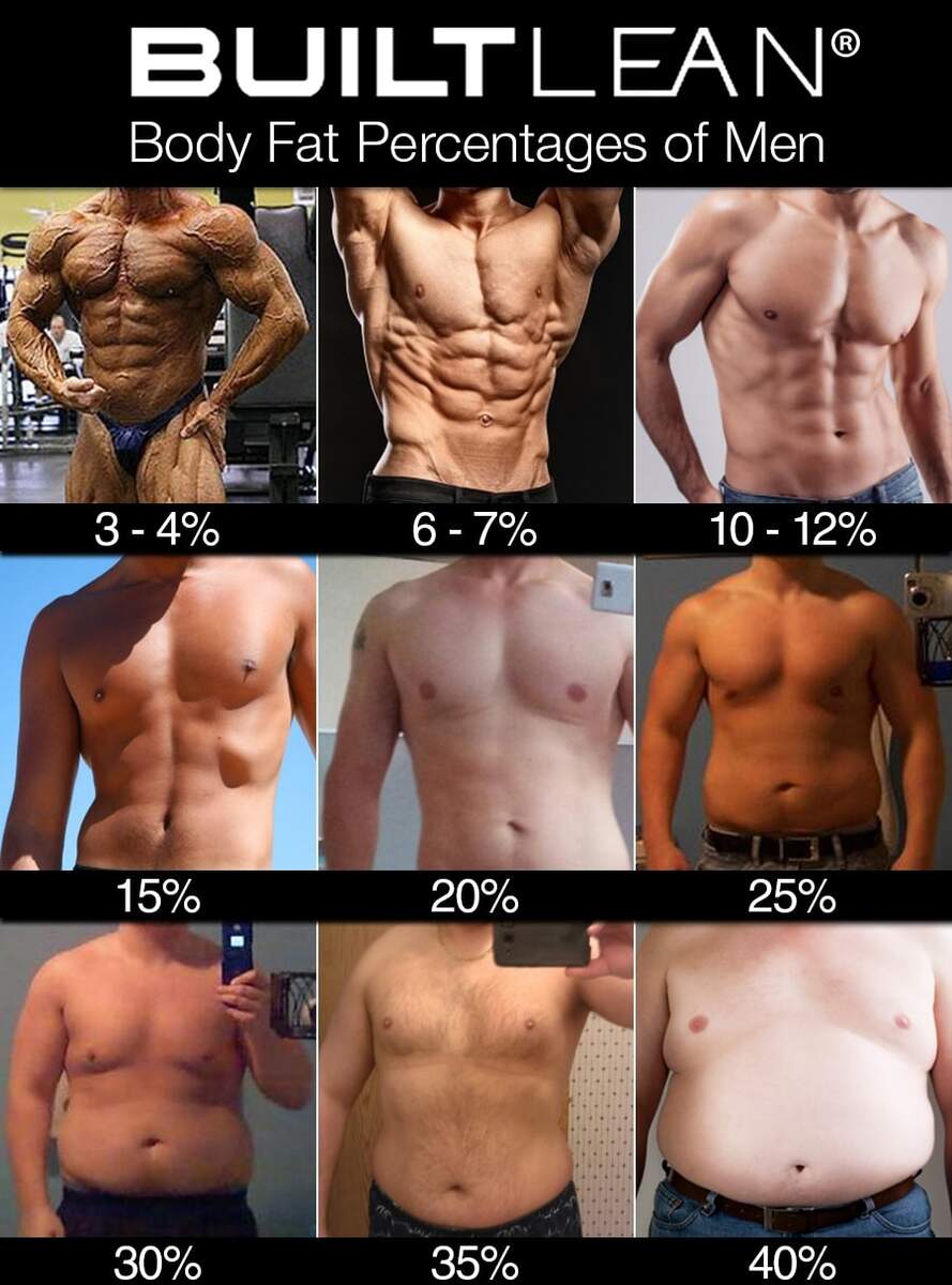 What Does Your Percent Body Fat Really Look Like
