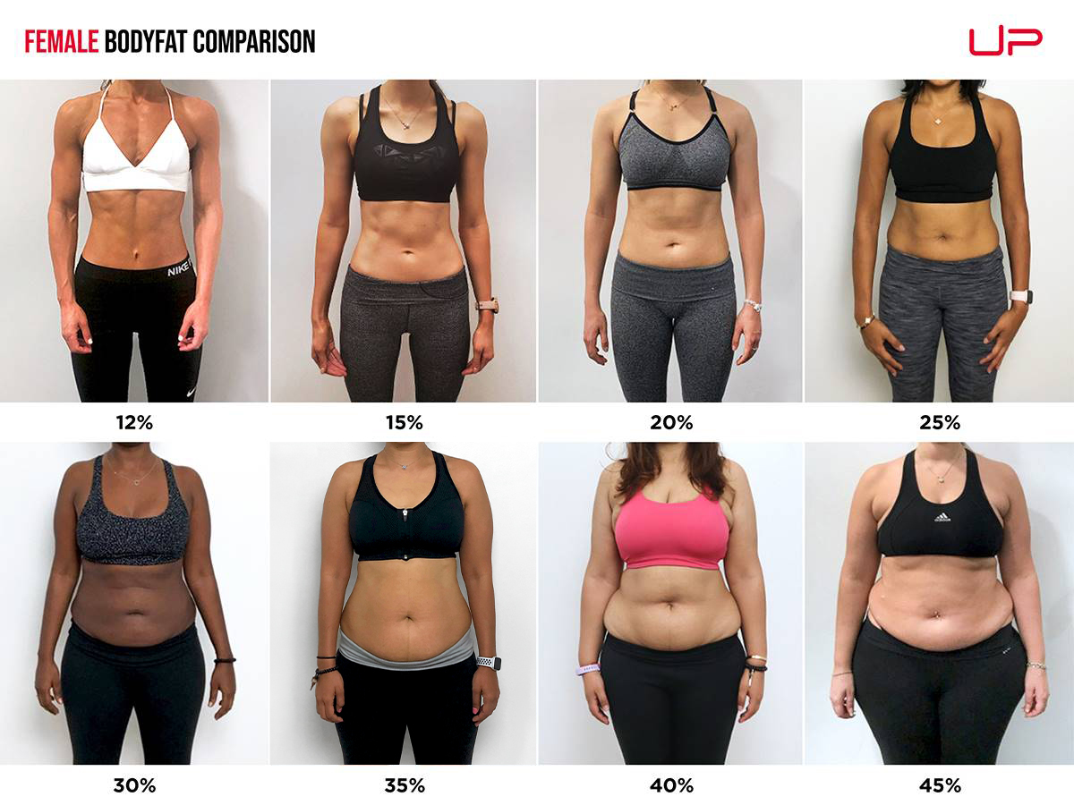 What Is My Body Fat Percentage R GymMotivation